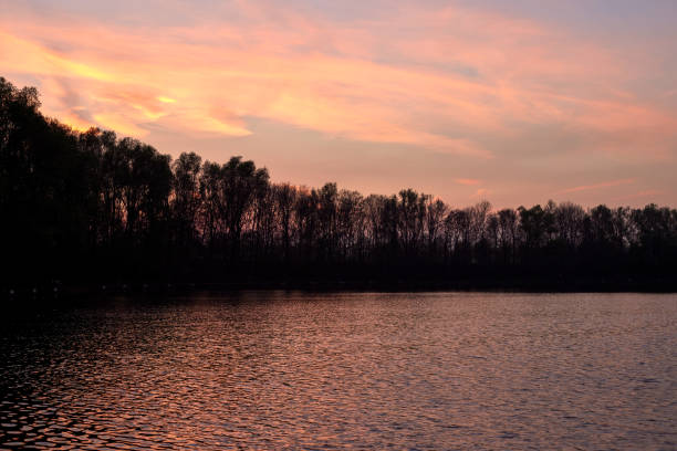 Trees next to a lake in Ghent at sunset - Belgium