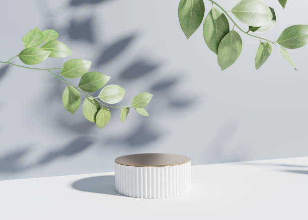 istock 3D display podium blue background. White flower and green leaf shadow . Nature minimal gold pedestal. Beauty, cosmetic product presentation and gold step. Feminine copy space template 3d render 1398461607