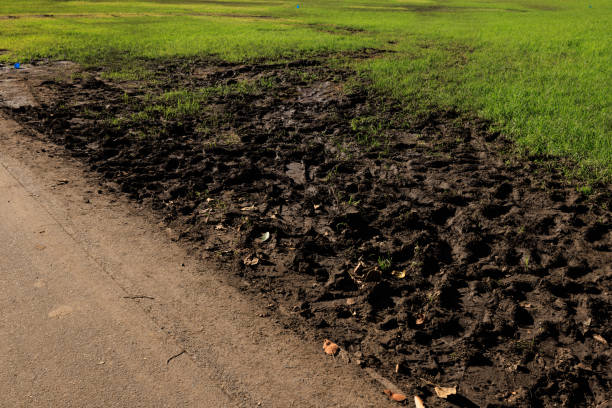 Muddy section of a grass field at the side of a road.