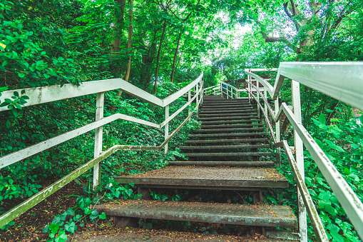 Steel stairway leading up in green summer forest