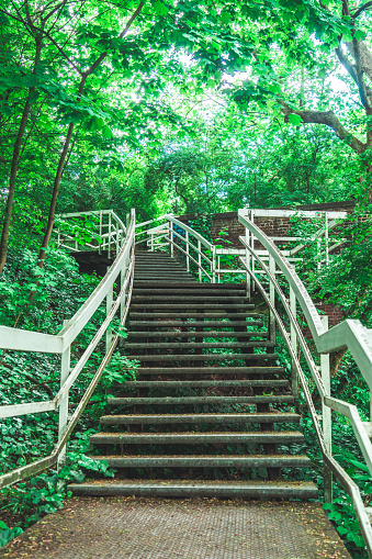 Steel stairway leading up in green summer forest