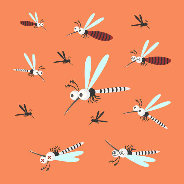 illustrations, cliparts, dessins animés et icônes de moustique porteur du virus de la dengue, du virus zika, du paludisme. concept de contrôle des moustiques. - stinging