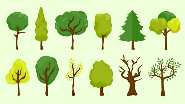 istock Icon set consisting of different tree species that we encounter in nature. Creatures in nature and earth greenery concept. 1398473148