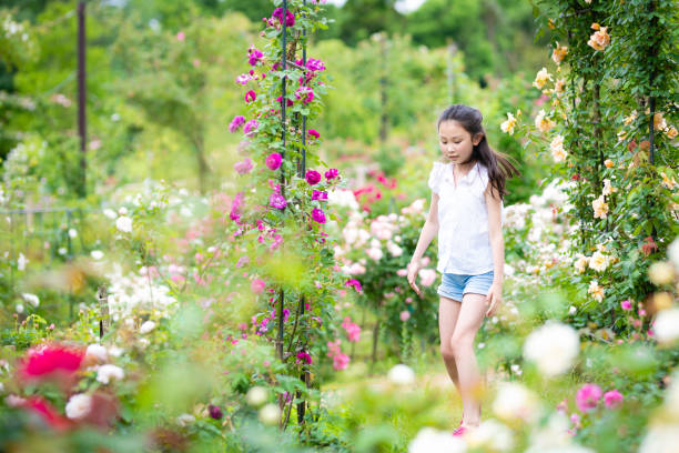 istock Girl playing in a rose bloomed garden 1398474862