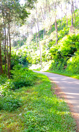 El camino a Puncak Eurad Lembang, Indonesia photo