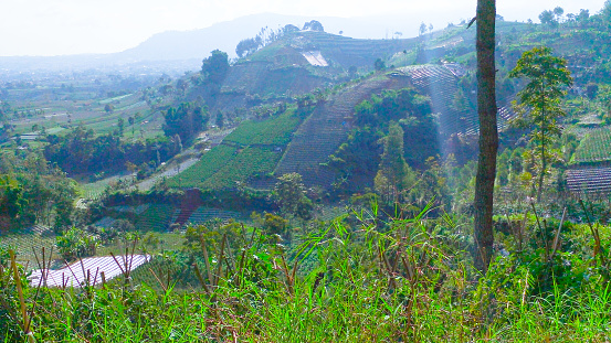 Vista de la ciudad de Lembang desde la cima de la montaña (Puncak Eurad) photo