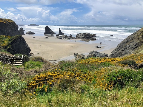 A beautiful view of Bandon beach in Bandon, Oregon, with the headlands and beautiful coast exposed at low tide for people to explore