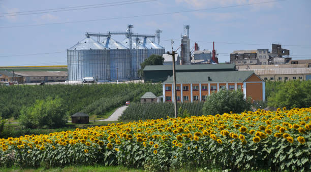 istock Agrarian industrial landscape 1398483648