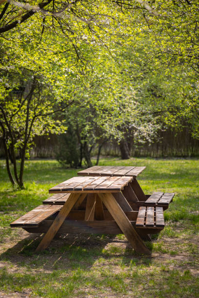 istock Tables and benches on the camping site. 1398484863