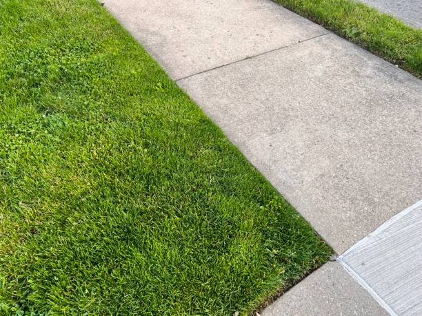 Nearly Trimmed Lawn by Sidewalk stock photo