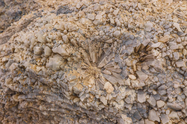 closeup view to the sand crystals in the white desert, egito - crystal - fotografias e filmes do acervo