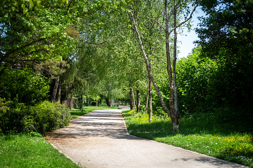 Curved path, trail at the park on a sunny spring summer day.