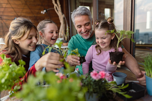 Three daughters helping a father to plant flowers, home gardening concept
