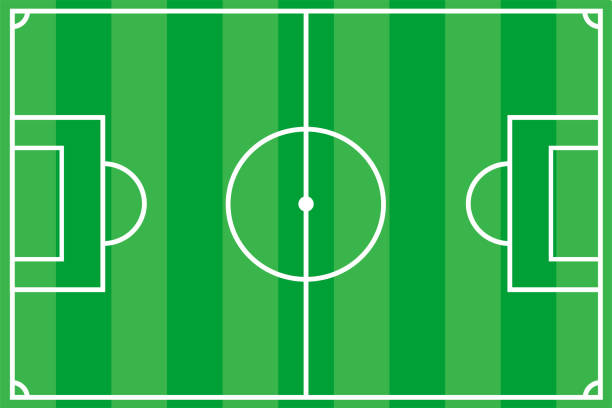 lapangan sepak bola, rumput hijau di stadion. latar belakang bidang hijau dan garis putih. lapangan sepak bola. sepak bola di stadion. vektor - court line ilustrasi stok