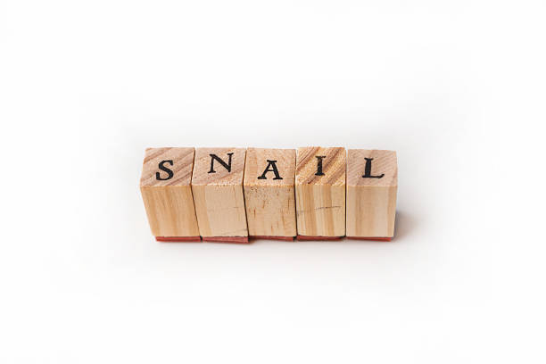 istock The word snail is composed of wooden letters. Isolate. 1398505926
