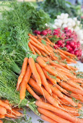 Bunches of freshly-picked orange carrots on display at a farmer's market.  Other vegetables, including red radishes and white turnips, can be seen behind the carrots.