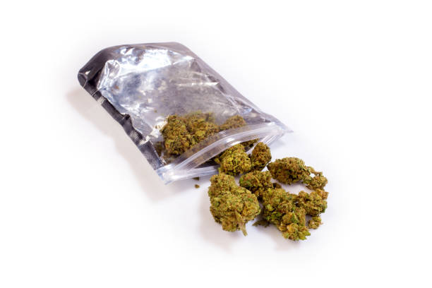 CBD flowers isolated on white background stock photo