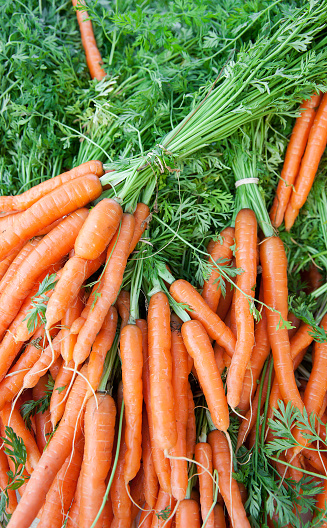 View from above of bunches of freshly-picked orange carrots on display at a farmer's market.