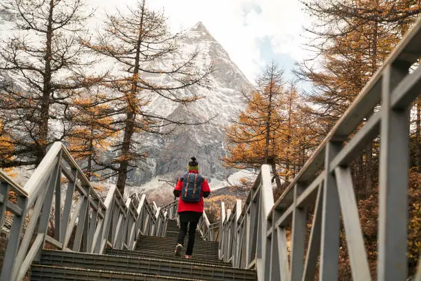 rear view of an asian woman female tourist backpacker climbing up stairs leading to mount chenrezig (or xian nai ri)