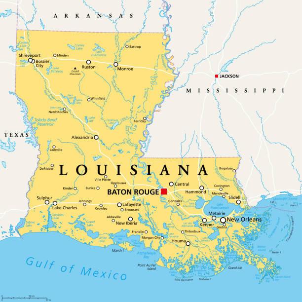 louisiana, la, political map, us state, nicknamed pelican state - louisiana stock illustrations