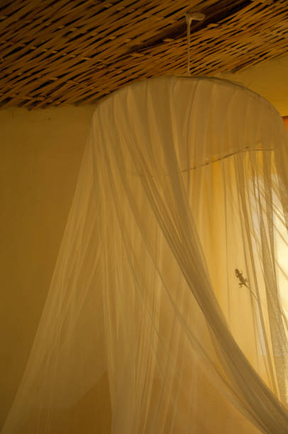 istock Common religion Religion religion on a mosquito net. 1398510750