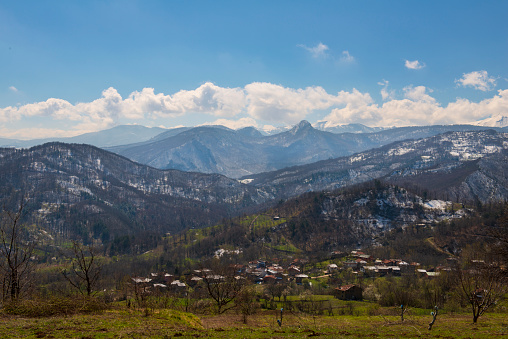 Idyllic landscape in the Uludağ with blooming meadows in springtime. Bursa, Turkey