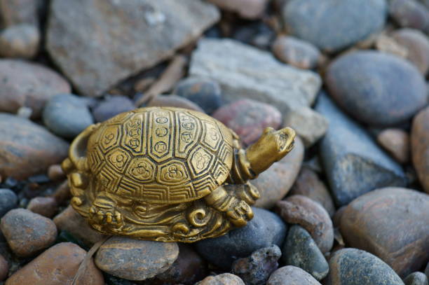 istock A metal turtle on a background of stones. 1398512684