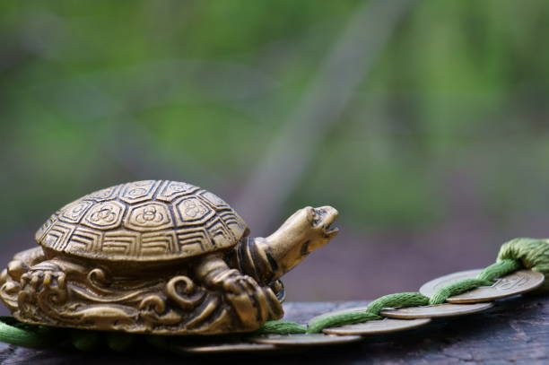 istock A metal turtle with Chinese coins. 1398512784