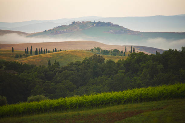 Beautiful sunrise in San Quirico d'Orcia, Tuscany, Italy.