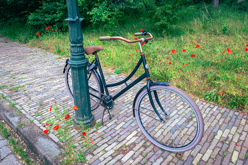 Idyllic view of a bicycle left behind at a lamppost with red poppies.