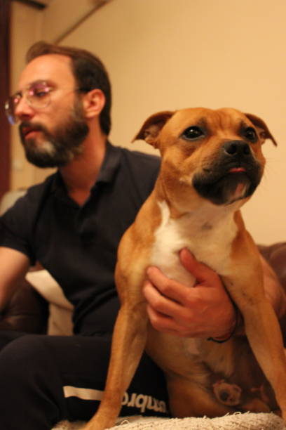 istock Cute dog with his owner 1398516914