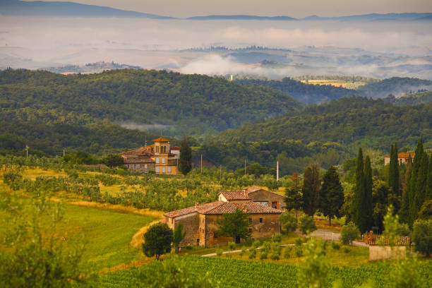 istock Panorama del Chianti senese. Siena, Italia 1398516978