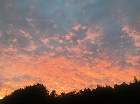 Pink sunset over the hills with forest