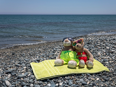 Teddy bear couple in swimsuits and sunglasses sitting on the beach in front of the sea