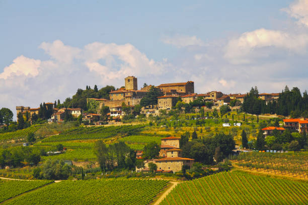 istock Panorama del Chianti senese. Siena, Italia 1398518508