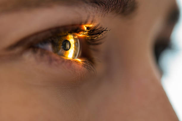 el haz de luz brilla a través de la retina y el cristalino en el examen de la vista - brown eyes fotografías e imágenes de stock