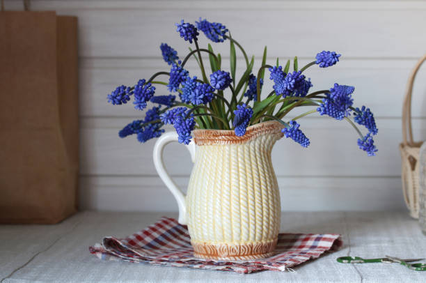 blue spring flowers in a jug on the table. cottage core. Viper's bow or Mouse hyacinth.