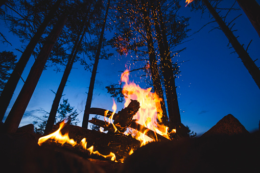 Bonfire burns in the night forest. Sparks fly into the sky