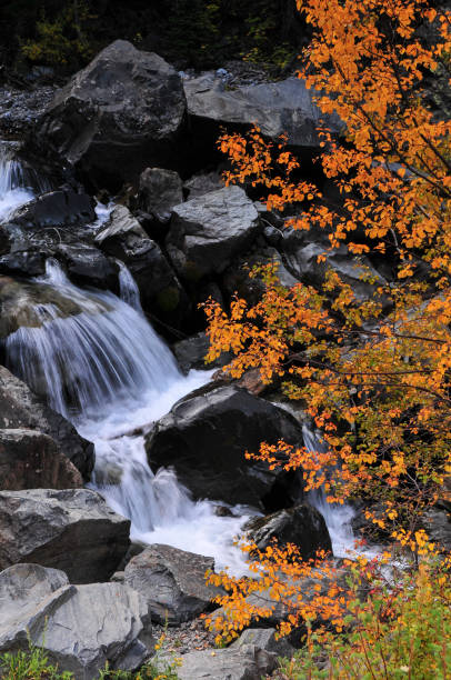 Autumn colors and a small waterfall by the \