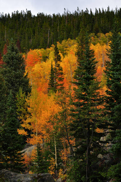 istock Early autumn foliage around Bear Lake 1398529590