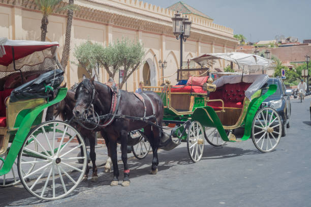 istock Horses and carriages in Marrakesh 1398532554