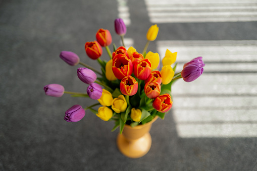 Shallow focus on a red tulip flower in a vase of red, yellow and purple tulips. There is the shadow of window blinds behind the bouquet