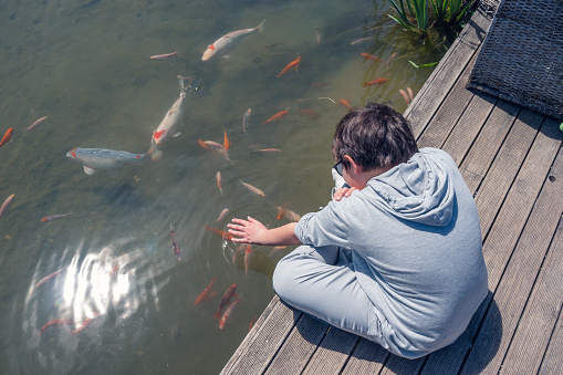 Boy sitting on wooden pier on the shore of a lake touching water and a group of Koi fishes living in the pond showing interest. Top view.