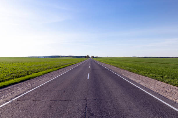 istock an asphalt road along which green plants 1398540080