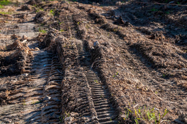 closeup of tire tracks imprinted in the mud - mud road tire track footpath imagens e fotografias de stock