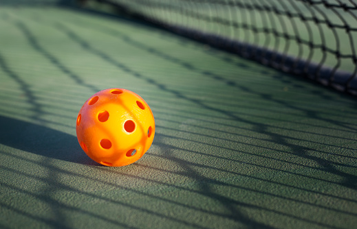 Pickleball and Net on Sunny Sports Court Close-Up