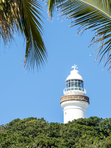 Vertical landscape photo of the iconic Cape Byron lighthouse, of state heritage significance, sited on the most eastern point of the Australian mainland and located in the Cape Byron Headland Reserve. Native species scrub forest and palm tree fronds can be seen in the foreground. Byron Bay, NSW