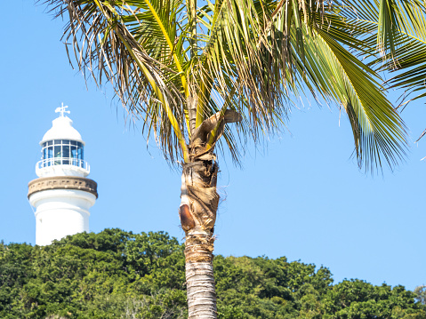 Horizontal landscape photo of the iconic Cape Byron lighthouse, of state heritage significance, sited on the most eastern point of the Australian mainland and located in the Cape Byron Headland Reserve. Native species scrub forest and a palm tree can be seen in the foreground. Byron Bay, NSW