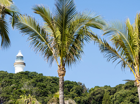 Horizontal landscape photo of the iconic Cape Byron lighthouse, of state heritage significance, sited on the most eastern point of the Australian mainland and located in the Cape Byron Headland Reserve. Native species scrub forest and palm trees can be seen in the foreground. Byron Bay, NSW