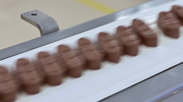 Conveyor with passing chocolate bars.